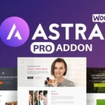 Astra Pro Addon v4.8.4 – Perfect Theme For Any Website