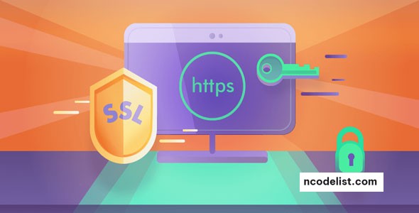 Really Simple SSL Pro v9.1.1